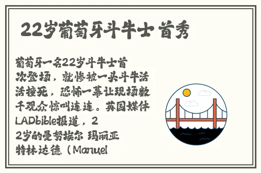 国产精品va在线播放